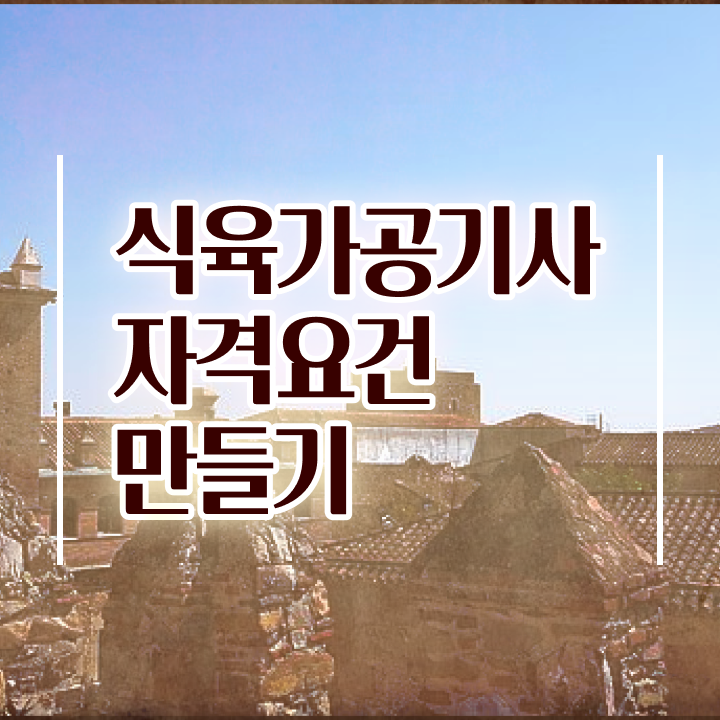  식육가공기사 응시조건 학점은행제로 빠르게 준비한 비법