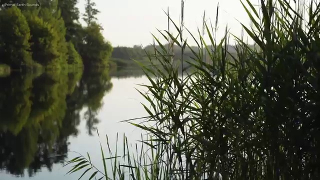  전주 사회복지사의역할 ~ 사회복지사2급 경력없어도 학점은행제 활용하여 간단하게