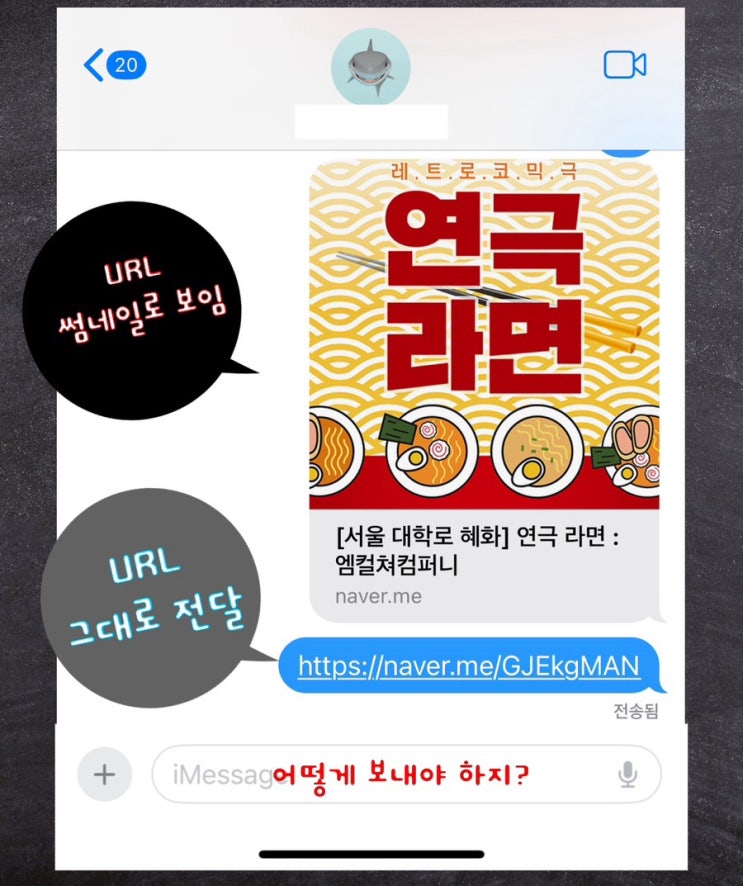 아이폰 메시지에 링크(URL) 그대로 전달 방법(메시지 썸네일 끄기 꿀팁) 아이폰 메시지에 링크(URL) 그대로 전달 방법(메시지 썸네일 끄기 꿀팁)