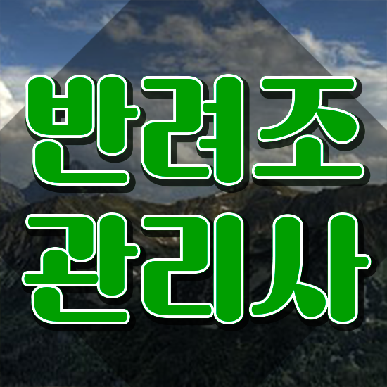  사랑앵무분양 , 반려조관리사 자격증 학습한 후기 핵심 공개
