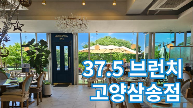 37.5 브런치 고양삼송점 이국적인 동산동 브런치 맛집