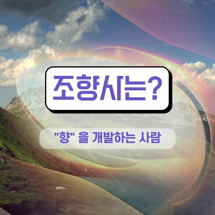  , 조향사자격증 단기간에 준비한 방법 전격분석