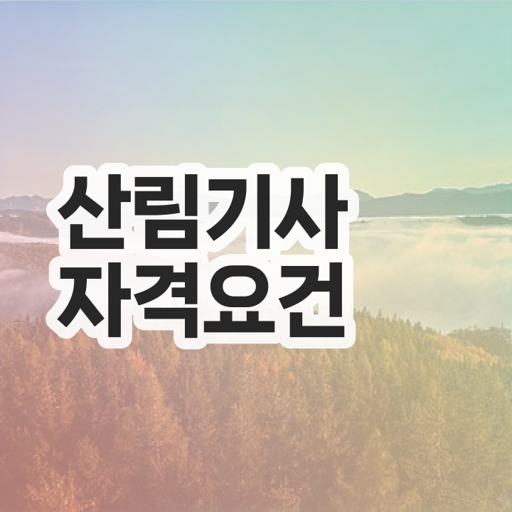  산림 기사교재 산림기사 응시자격 인강만 듣고 편하게 완료한 후기