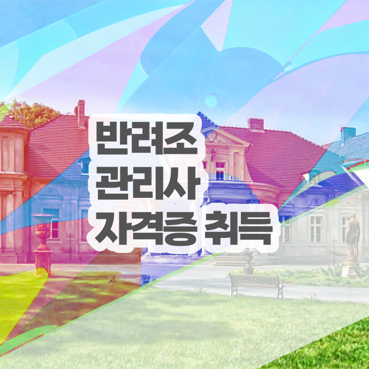  애완조분양 , 반려조관리사 자격증 학습한 후기 확인하기