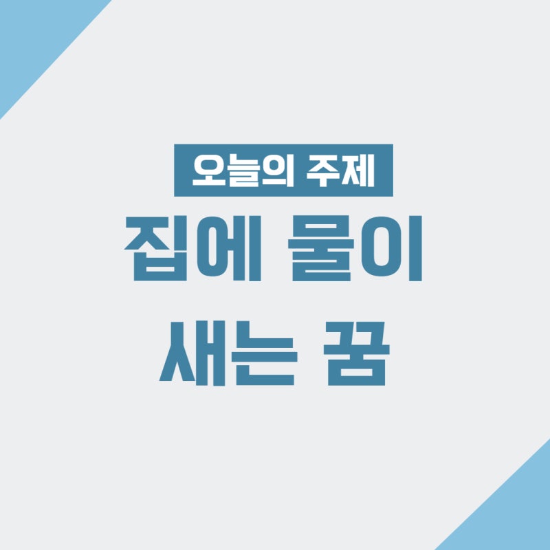 집에 물이 새는 꿈 천장에 방에 물이 차는 들어오는 꿈해몽 모음