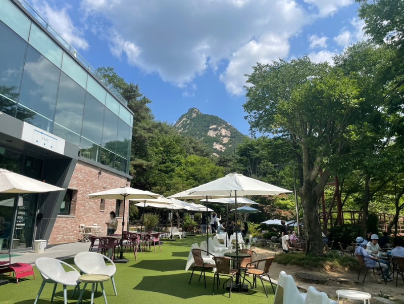 사진 2