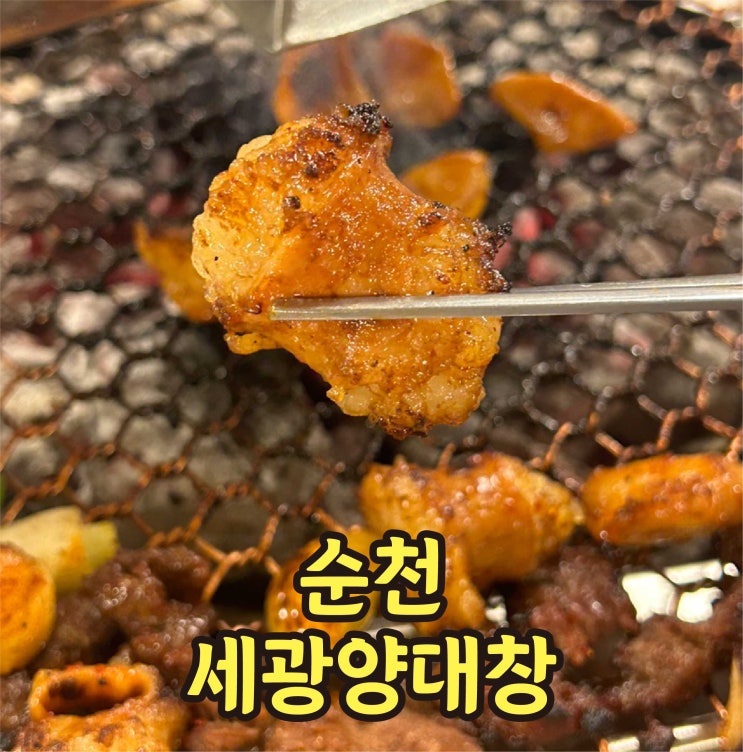  순천 조례동 맛집 세광양대창 모둠구이 솔직 후기