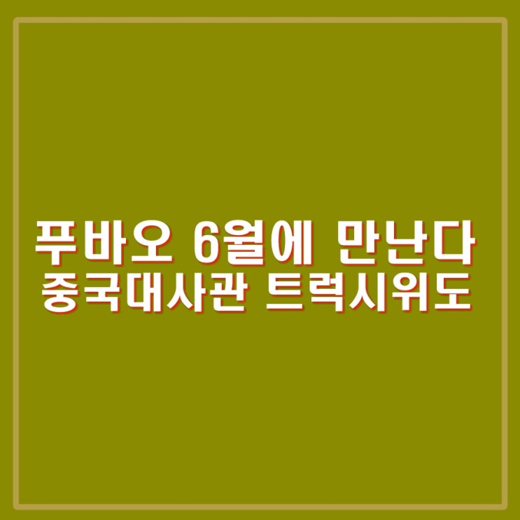 <b>푸바오</b> 드디어 6월에 <b>공개</b>한다. <b>중국</b>대사관 앞 학대의혹 해명... 