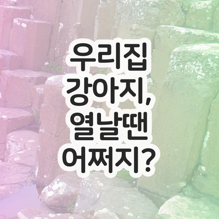  반려동물 인형 , 반려동물관리사 자격증 온라인 교육으로 합격한 전략 , 구직정보