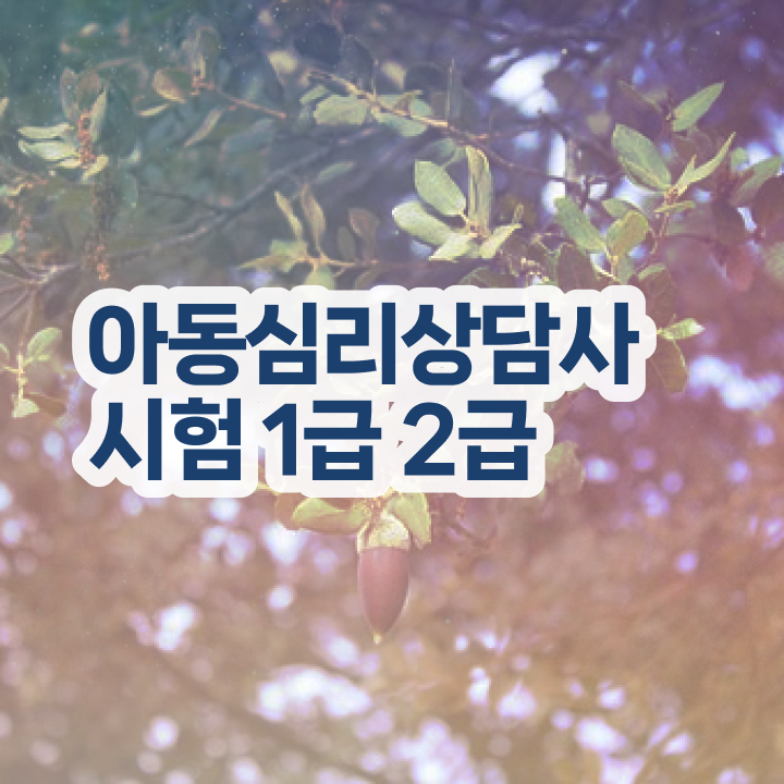  청소년 심리상담 자격증 , 심리상담사 자격증 상세한 합격한 비법 정보 모두 드려요