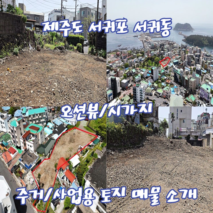  [제주도/토지]매매 서귀포 서귀동 단독주택, 카페, 식당, 펜션, 풀빌라 등 주거용, 사업용 매물 소개