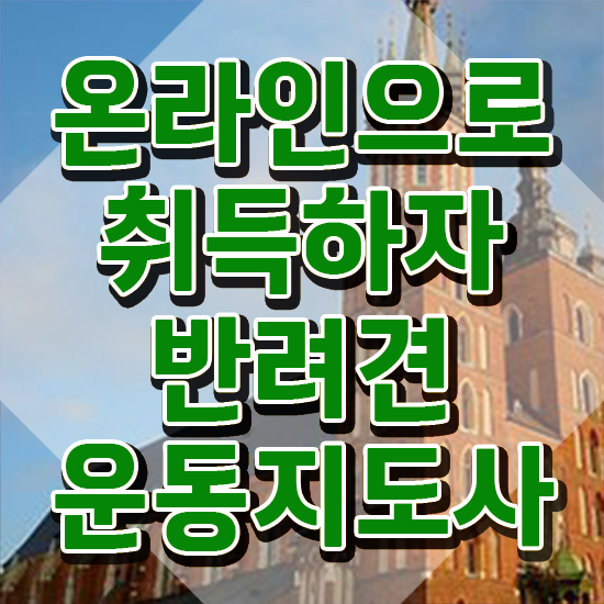  40대남자자격증 , 경력없어도 반려견운동지도사 취득할 수 있어요