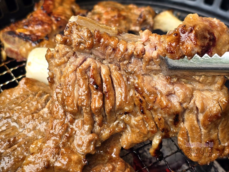  대전 한밭수목원 맛집 원촌동 솔가숯불갈비 돼지갈비 후기