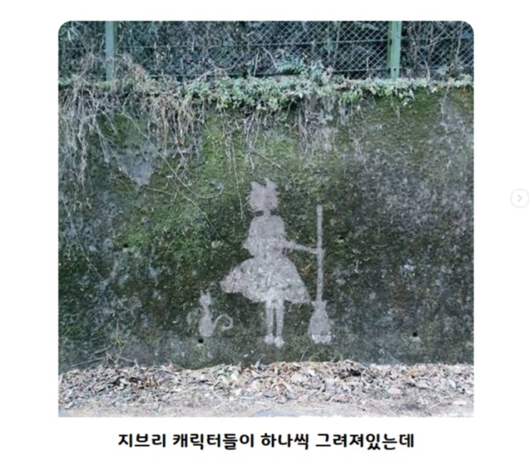  누가 이끼를 긁어 놨어