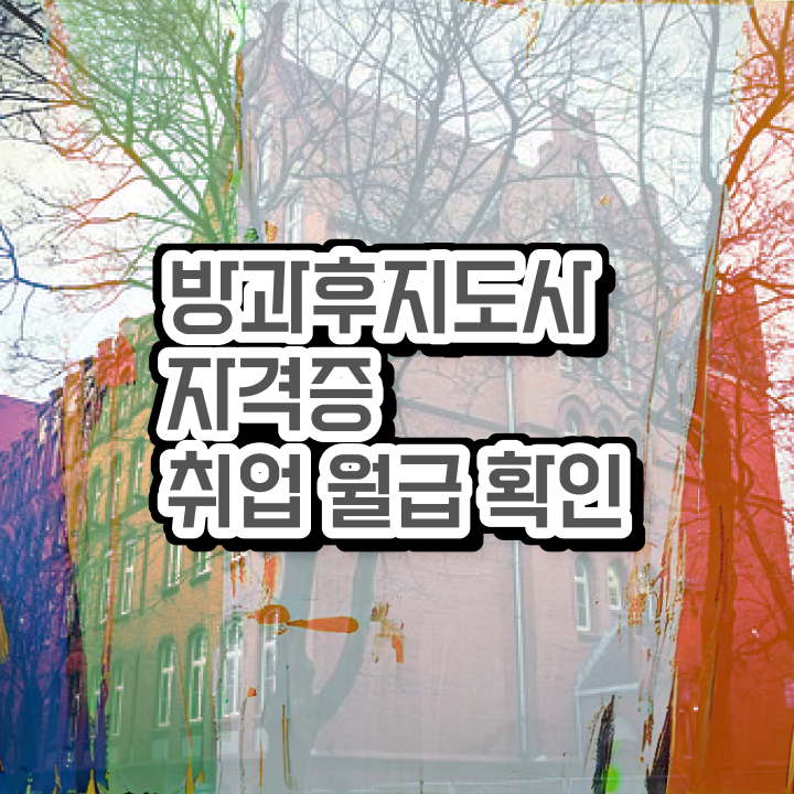  병설유치원 방과후교사 , 방과후지도사자격증 취득한 과정 및 온라인 과정