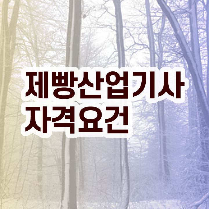  제빵산업기사 응시자격 독학으로 4달 안에 끝낸 방법