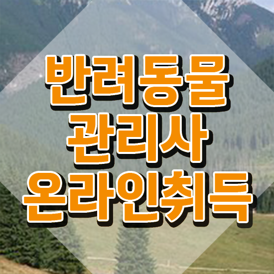  반려동물전문가 , 반려동물관리사 자격증 합격한 전략 핵심 정보