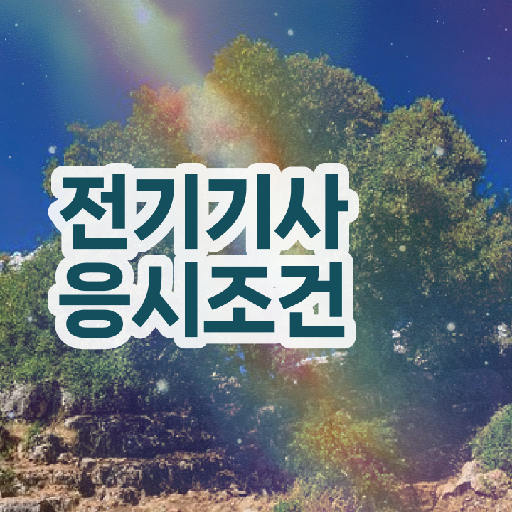  전기기사 실기 전기기사 시험자격 온라인 수업으로 반 년만에 준비한 후기