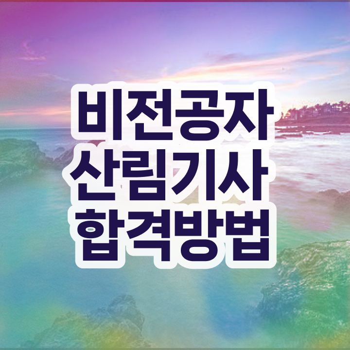  산림 기사인강 산림기사 응시자격 학점은행제로 4달만에 준비한 전략