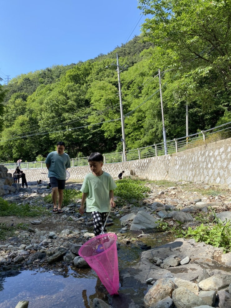  대구가볼만한곳 올챙이잡기 깨끗한 계곡 노지캠핑 진밭골야영장.