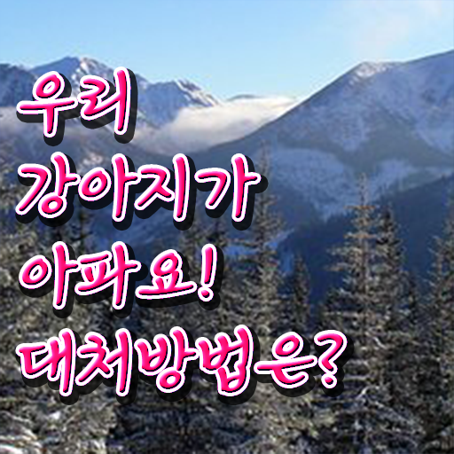  , 반려동물관리사 자격증 응시자격 없이 시험준비 정보 가득