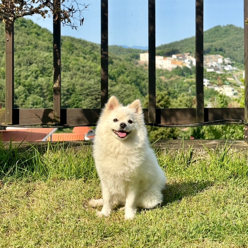 사진 6