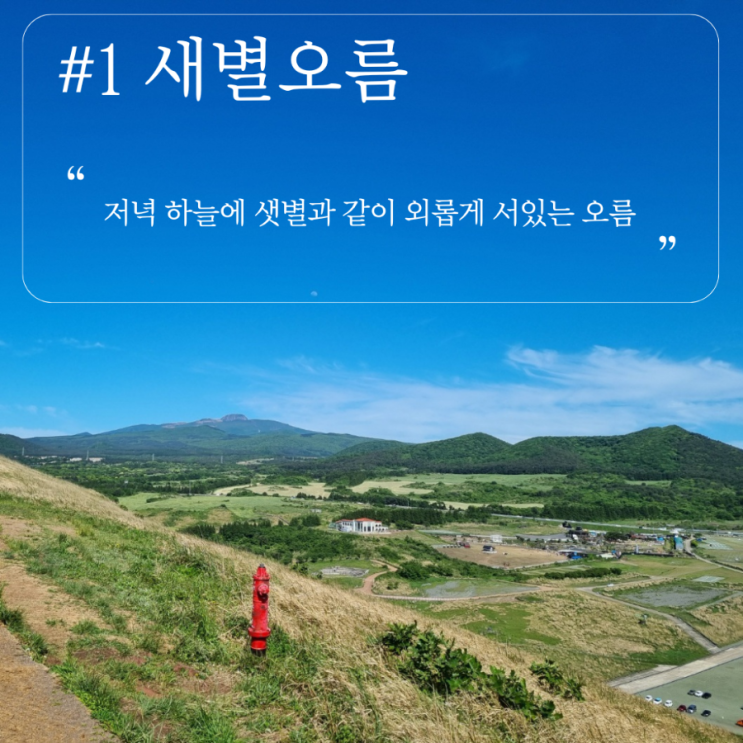  새별오름 제주 서쪽 여행 꼭 가봐야 할 곳