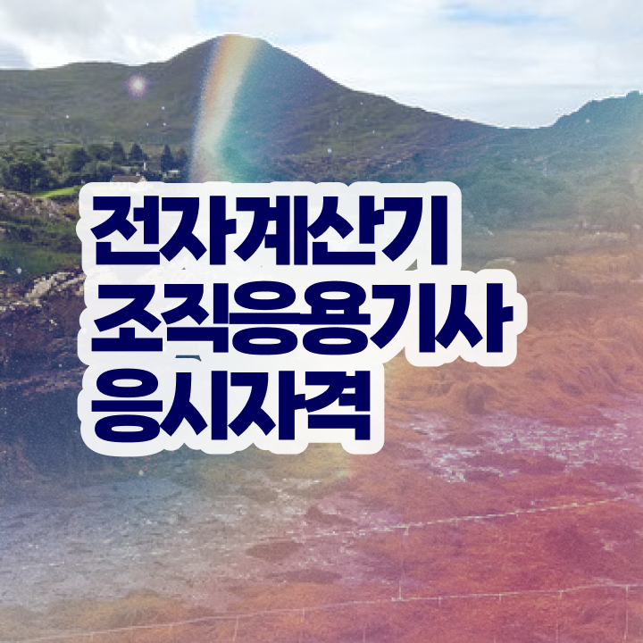  전자계산기조직응용기사 응시자격 온라인 수업으로 쉽고 빠르게 완료한 전략