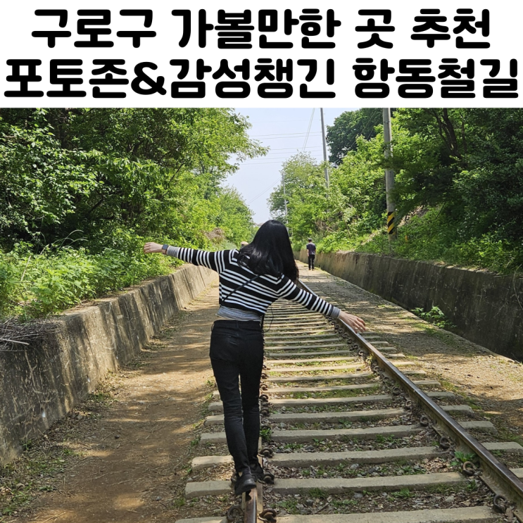  푸른수목원 항동철길 구로구 가볼만한 곳