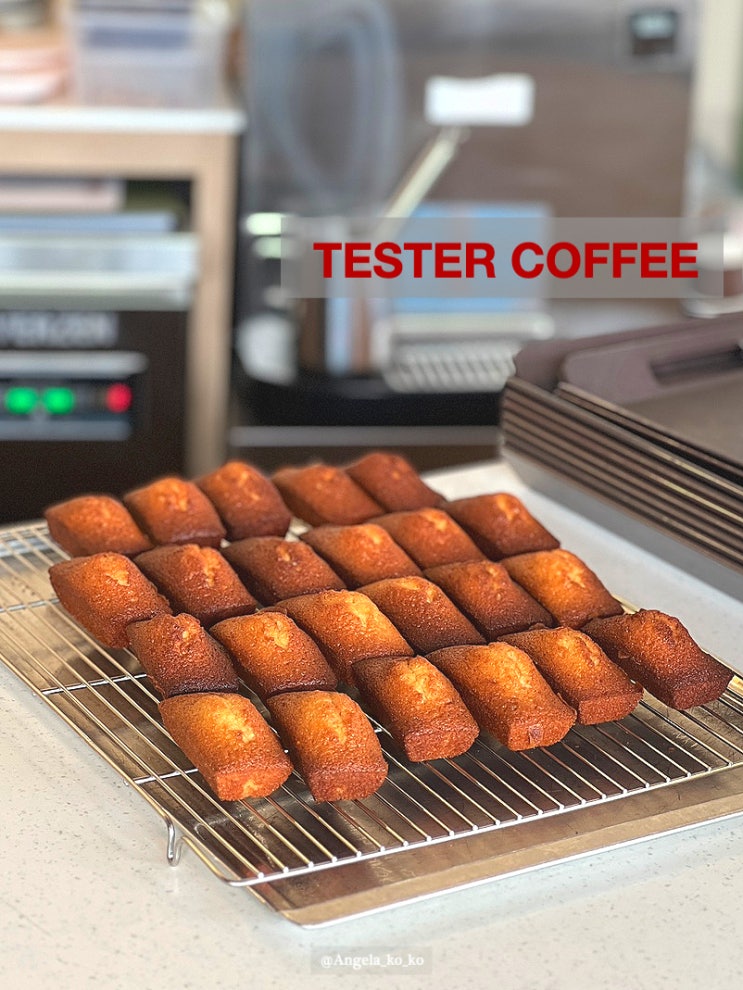  휘낭시에 맛집 Tester coffee 테스터커피 과천갈현점 과천 디저트 카페 브런치 추천