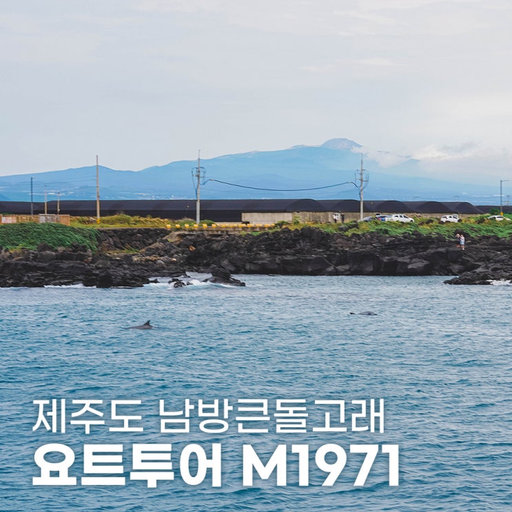  제주도 돌고래 요트투어 M1971