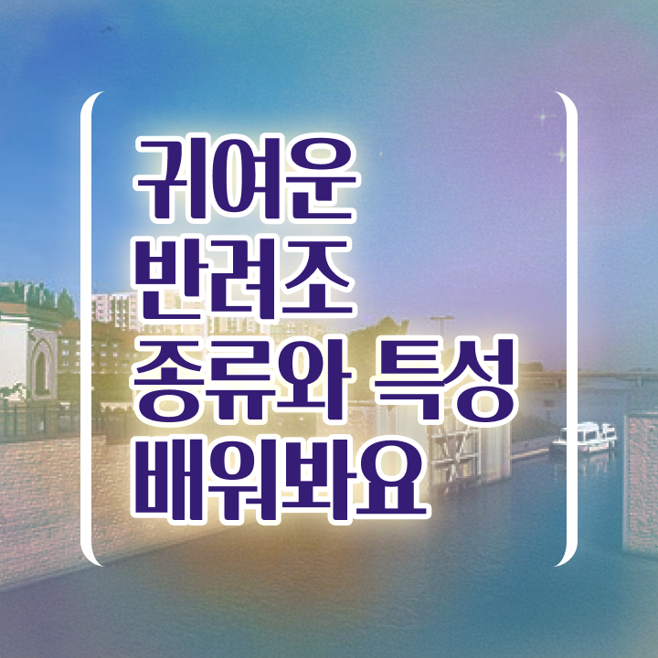  사랑앵무새키우기 , 반려조관리사 자격증 한달 만에 합격한 후기 및 이후 전망