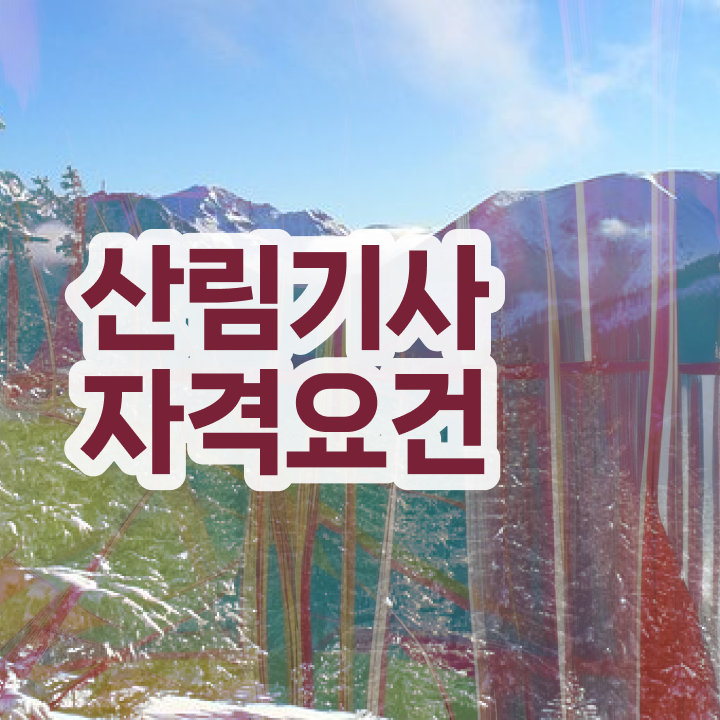  산림기사 학점은행제 산림기사 자격요건 온라인 과정으로 간단하게 성공한 노하우
