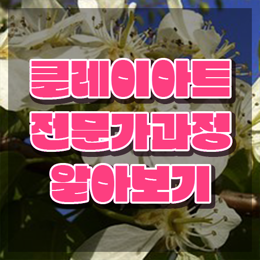  미니어쳐클레이자격증 , 클레이아트전문가 자격증 시험준비 소개