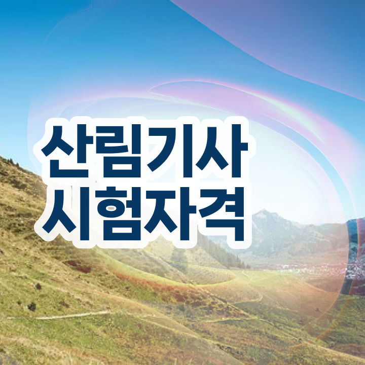  산림기사 관련학과 산림기사 시험응시자격 온라인 수업으로 4달만에 성공한 후기
