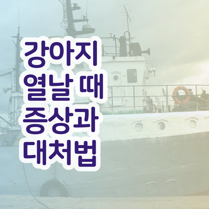  반려견전문가 , 반려동물관리사 자격증 취득한 정보 알아볼까요