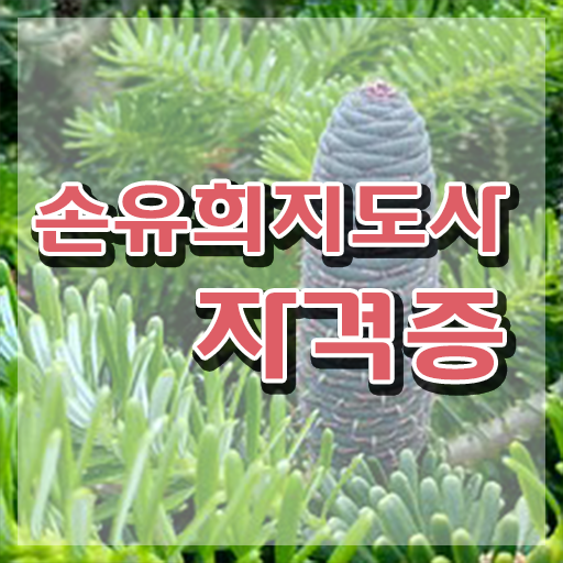  2급손유희지도사자격증학원추천 , 손유희지도사 자격증 20일 만에 취득한 노하우 , 활용 방법