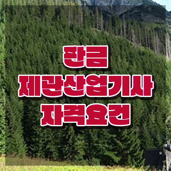  판금제관산업기사 직업 판금제관산업기사 응시자격 온라인 과정으로 4달만에 성공한 전략