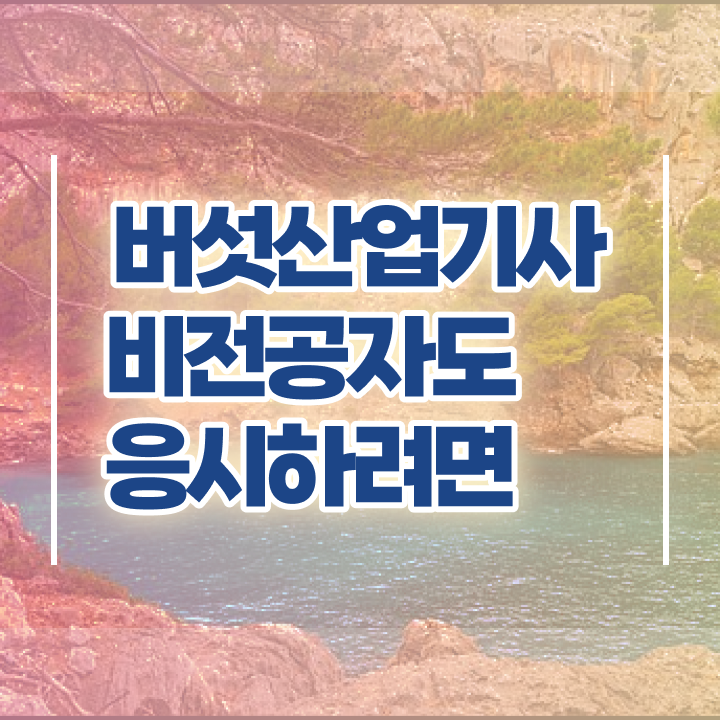  버섯산업기사 취득자격 집에서 온라인으로 4달만에 완료한 전략