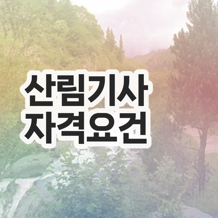  산림기사 시험접수 산림기사 응시조건 학점은행제로 4달만에 완료한 후기