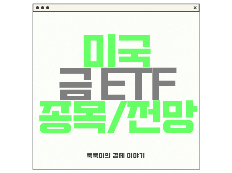  미국 금 ETF 투자 종목 소개 금현물 etf GLD IAU SGOL