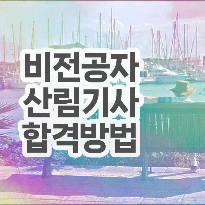  산림기사 2024 시험일정 산림기사 자격요건 온라인 수업으로 4달만에 완료한 전략