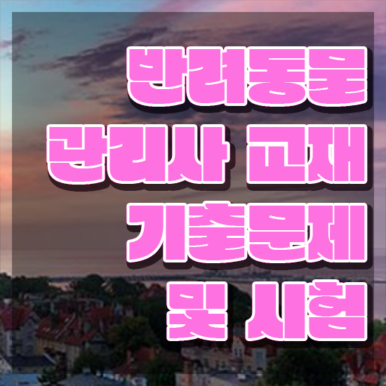  오산 강아지 훈련사 , 반려동물관리사 자격증 1달 만에 취득한 방법 정리해드립니다
