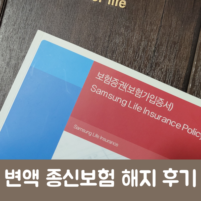종신보험 해약에 대한 리뷰를 검토하고 필요한 사항을 확인하세요.
