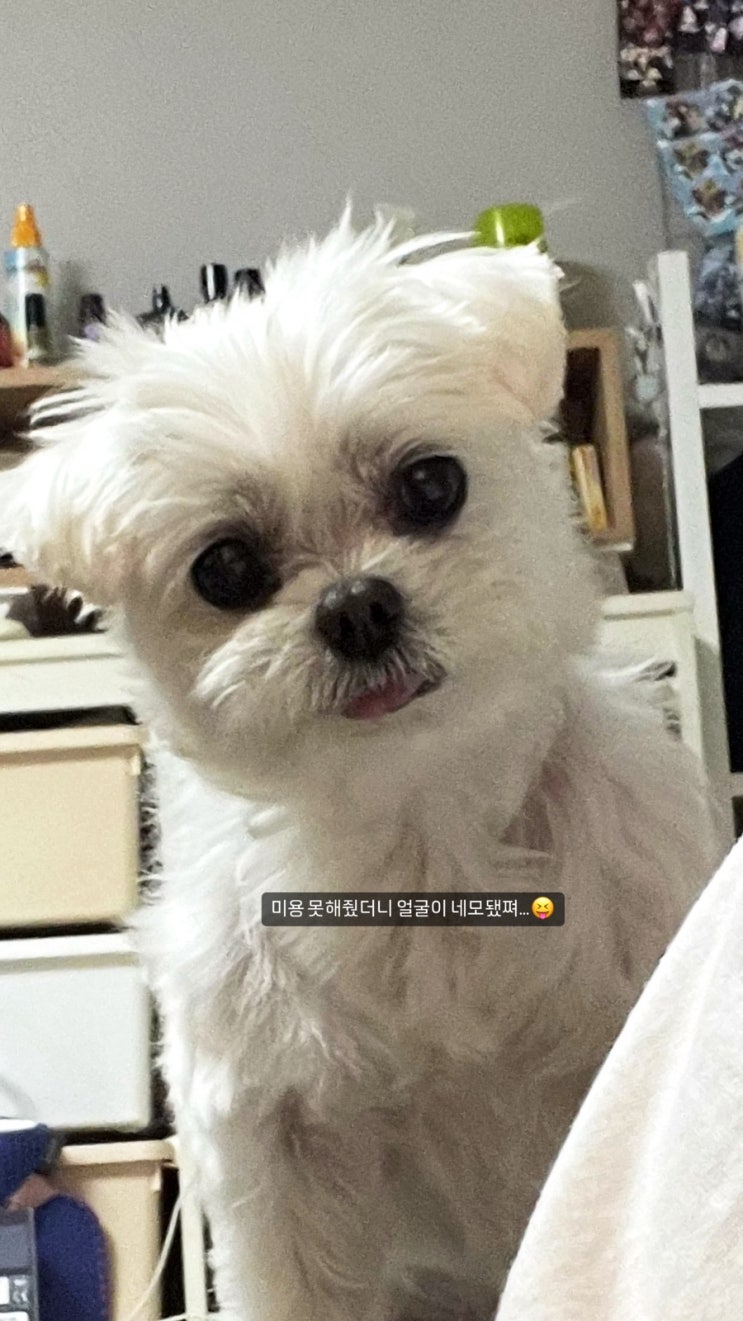  우리집 곤듀