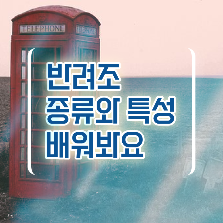  모란앵무새키우기 , 반려조관리사 자격증 2주 만에 준비한 방법 정리해드립니다