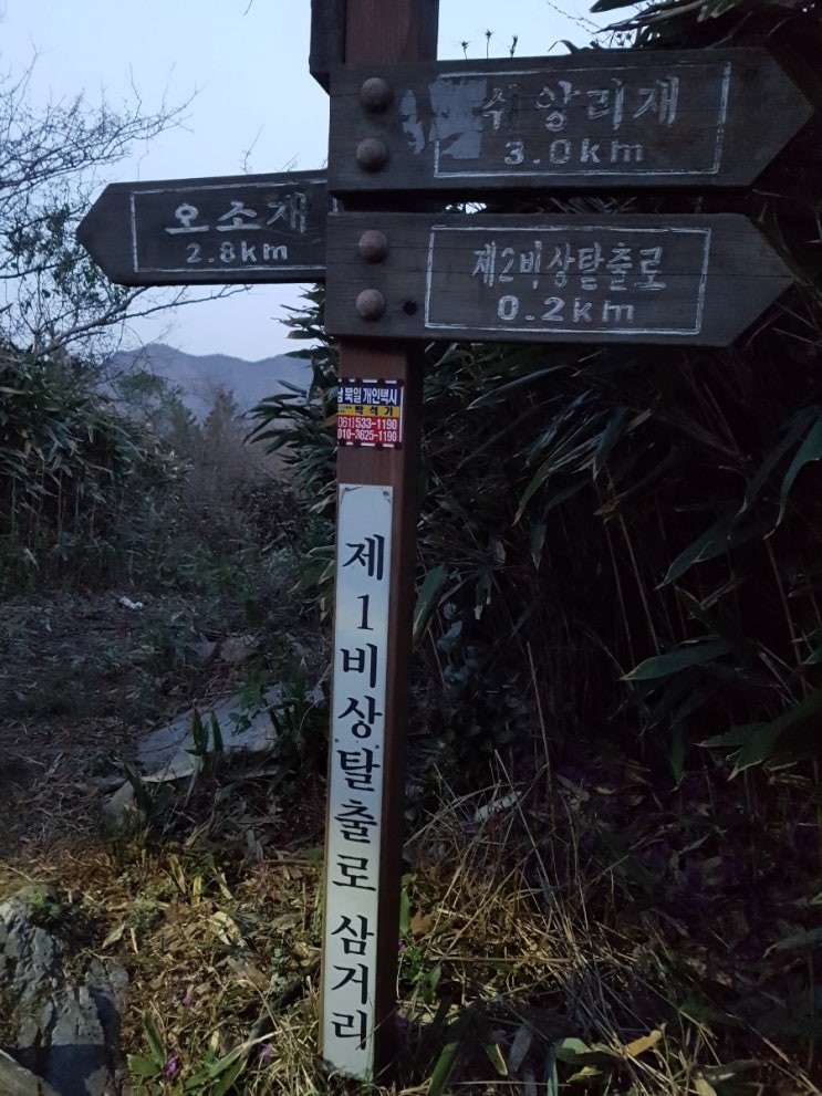  [주작덕룡]전남 강진 주작산 덕룡산 진달래꽃 산행