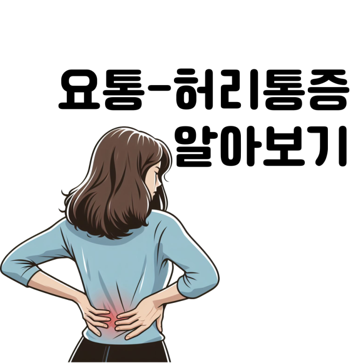  현대인의 요통 문제! 허리통증 원인 증상 및 예방을 재활운동으로 관리하기