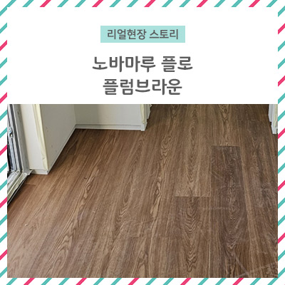  [리얼 현장 스토리] 노바마루 플로 플럼브라운