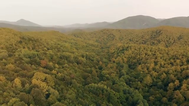  인천 사회복지직 공무원 시험 사회복지사2급 대학진학없이 학점은행제 활용하여 빠르게
